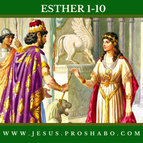 CODE 117: THE BOOK OF ESTHER