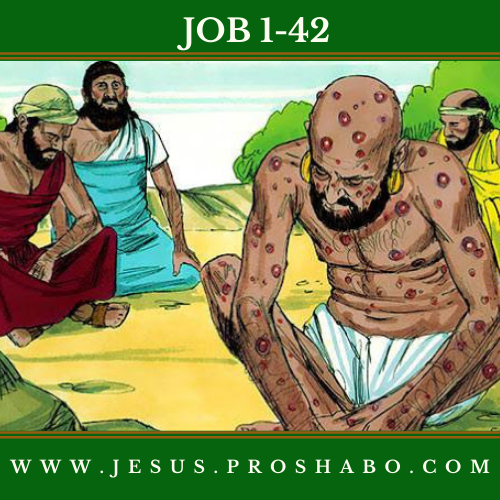 CODE 118: THE BOOK OF JOB
