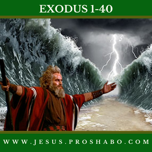 CODE 102: THE BOOK OF EXODUS