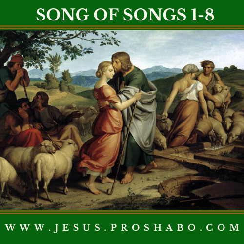 CODE 122: THE BOOK OF SONG OF SONGS