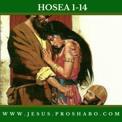 CODE 128: THE BOOK OF HOSEA