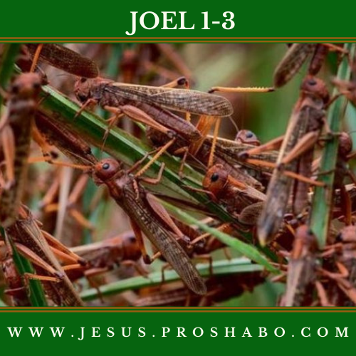 CODE 129: THE BOOK OF JOEL