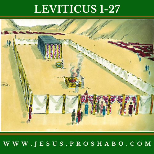 CODE 103: THE BOOK OF LEVITICUS