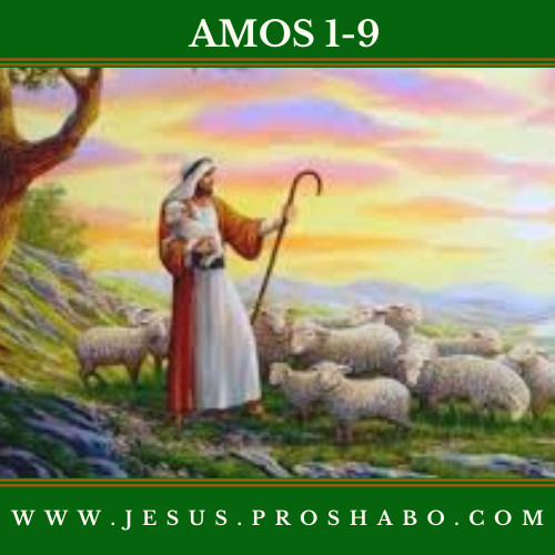 CODE 130: THE BOOK OF AMOS