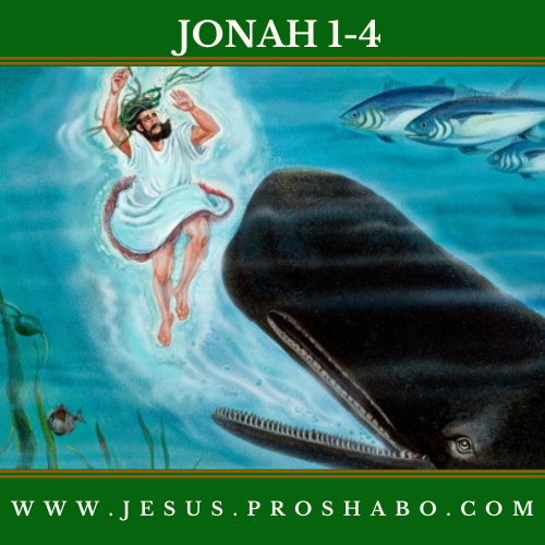 CODE 132: THE BOOK OF JONAH