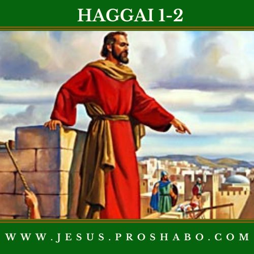 CODE 137: THE BOOK OF HAGGAI
