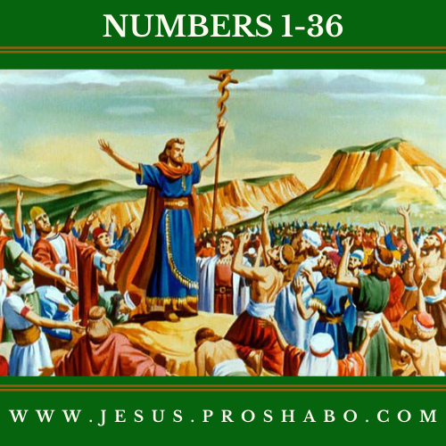 CODE 104: THE BOOK OF NUMBERS