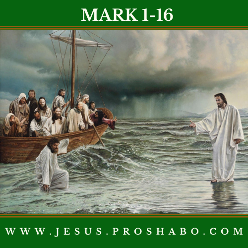 CODE 141: THE BOOK OF MARK