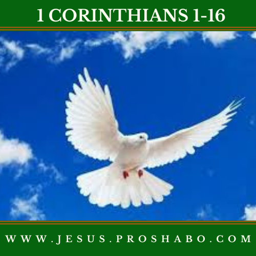 CODE 146: THE BOOK OF 1 CORINTHIANS
