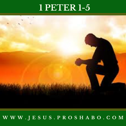 CODE 160: THE BOOK OF 1 PETER