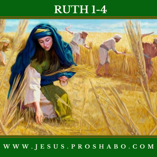 CODE 108: THE BOOK OF RUTH